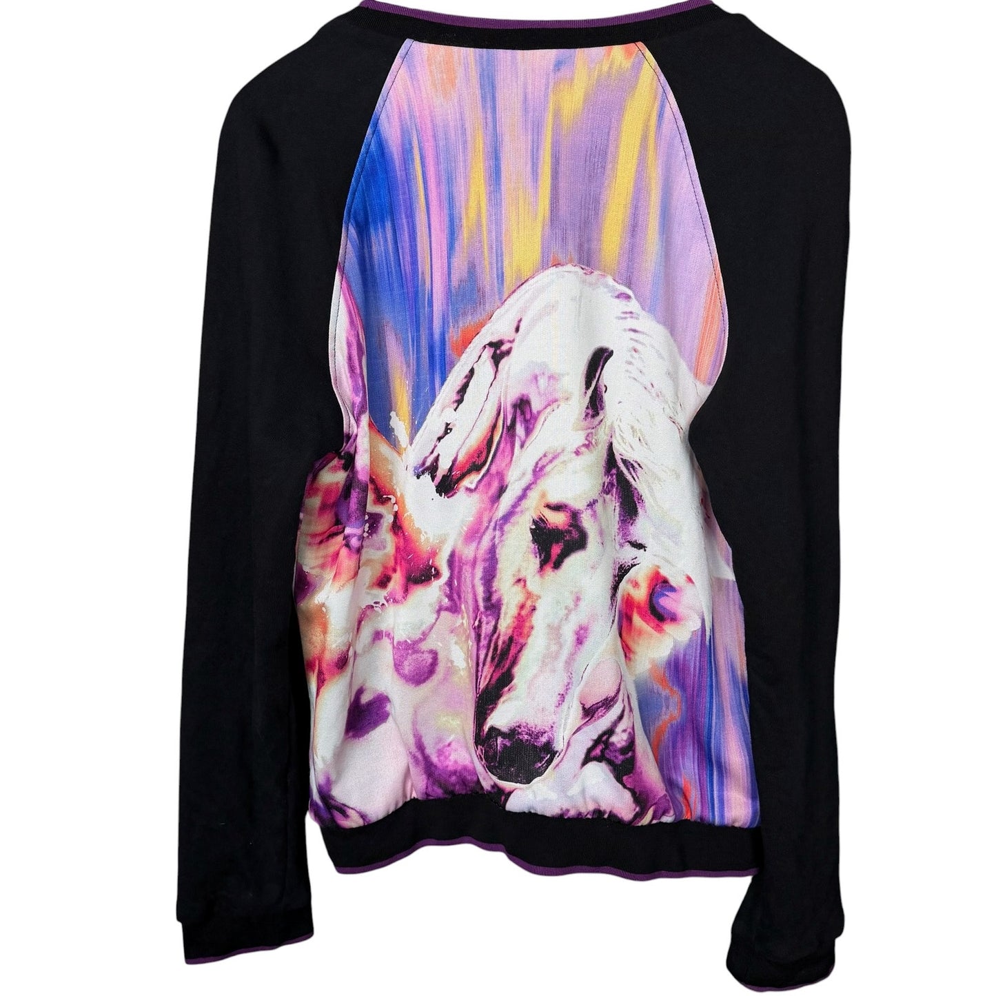 Roberto Cavalli Gym Stylized Paint Horse V-Neck Women's XL Track Jacket Luxury