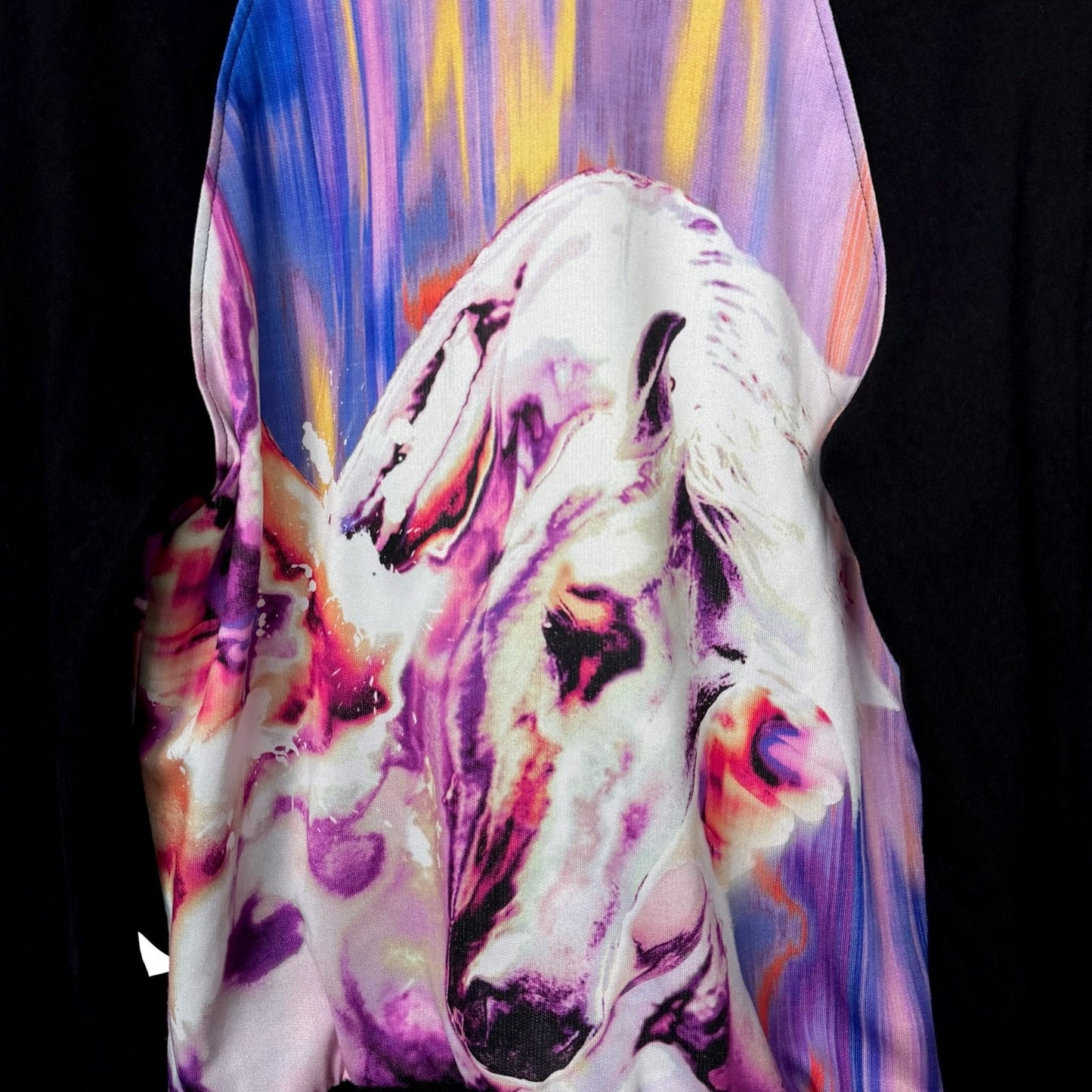 Roberto Cavalli Gym Stylized Paint Horse V-Neck Women's XL Track Jacket Luxury