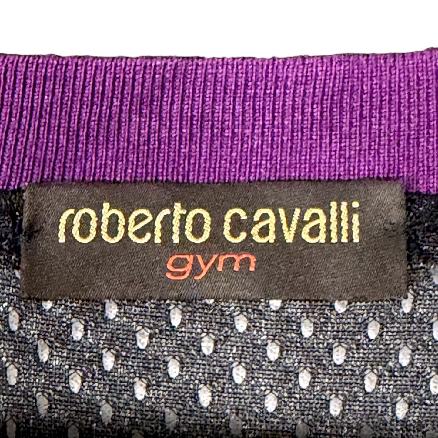 Roberto Cavalli Gym Stylized Paint Horse V-Neck Women's XL Track Jacket Luxury