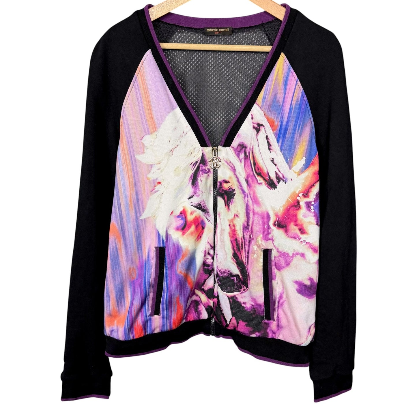 Roberto Cavalli Gym Stylized Paint Horse V-Neck Women's XL Track Jacket Luxury