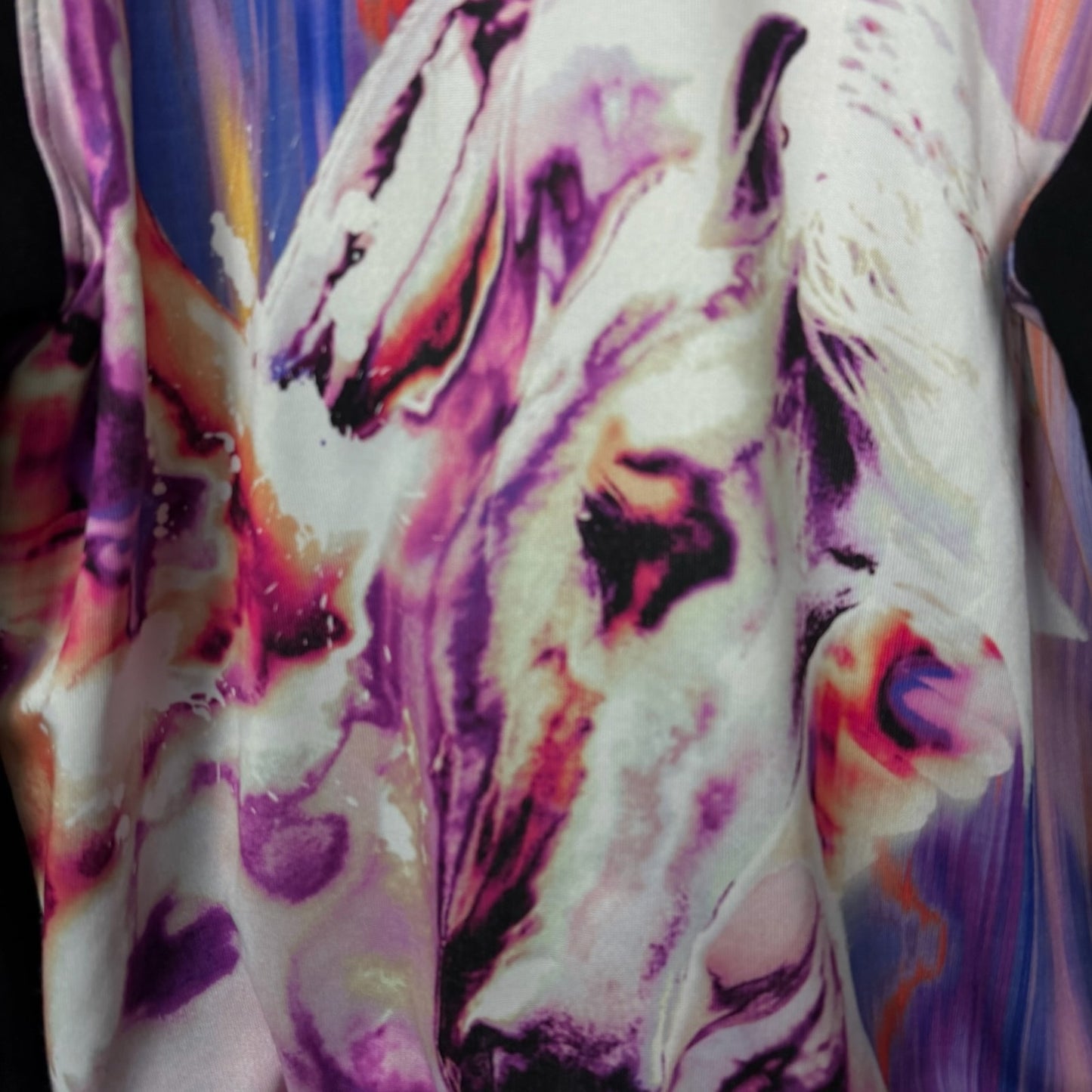 Roberto Cavalli Gym Stylized Paint Horse V-Neck Women's XL Track Jacket Luxury