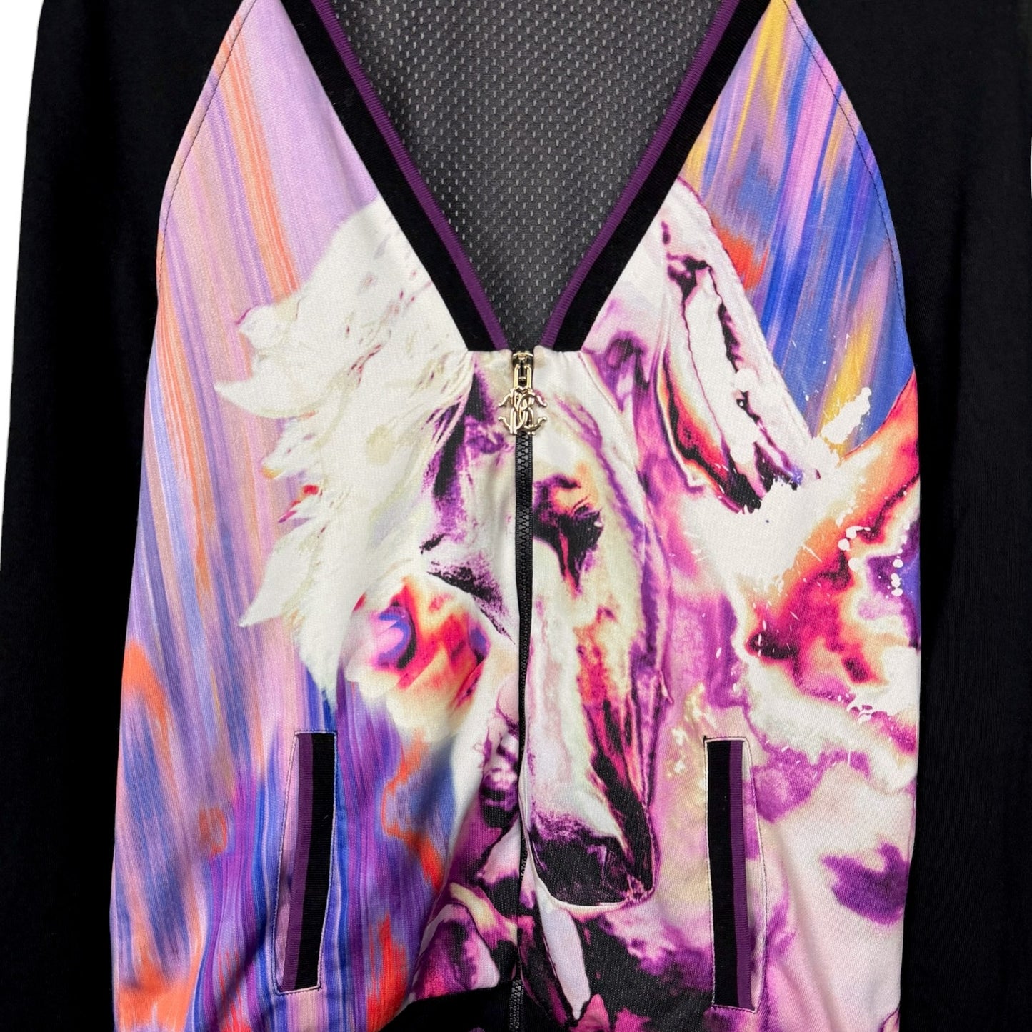 Roberto Cavalli Gym Stylized Paint Horse V-Neck Women's XL Track Jacket Luxury